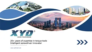פרופיל החברה XYD